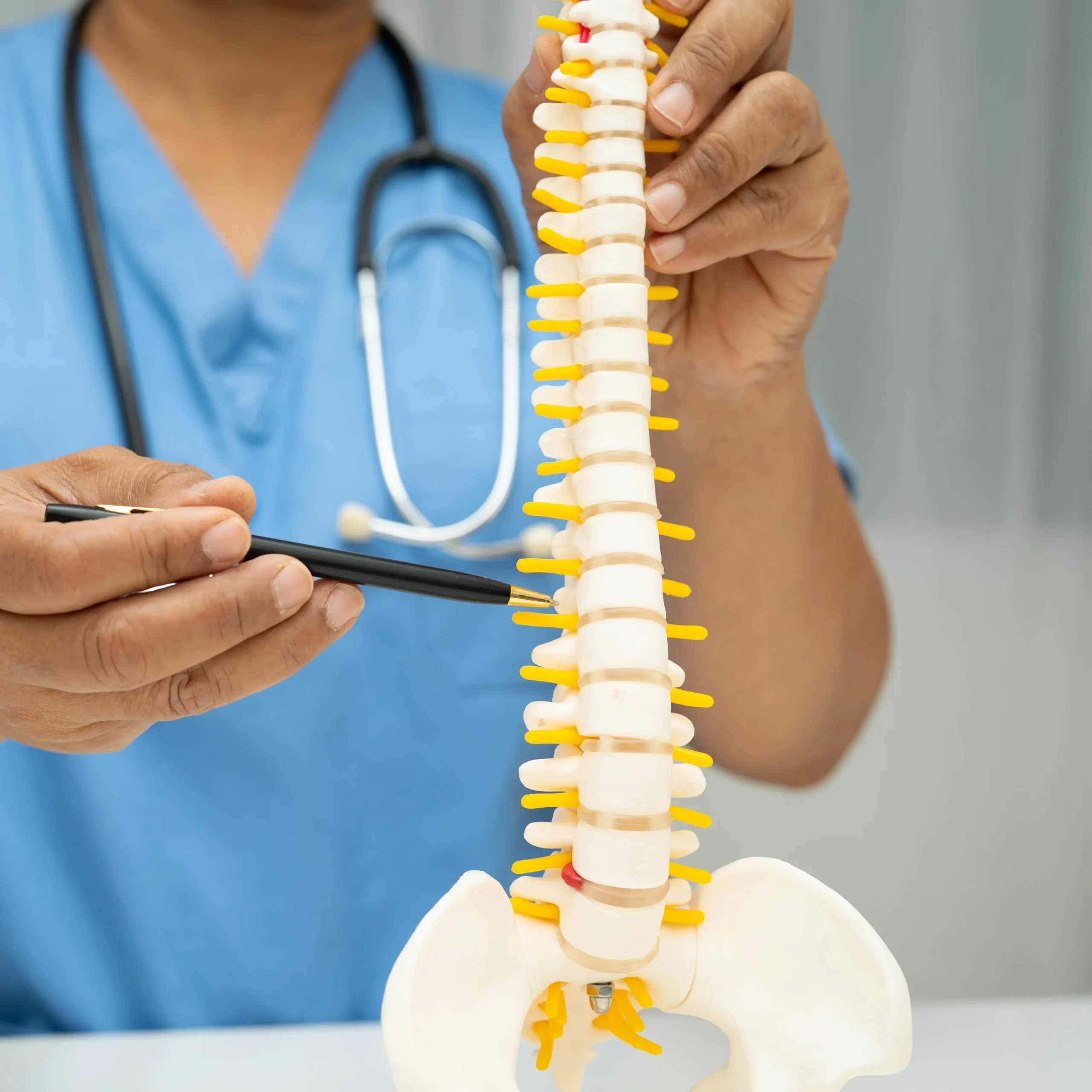 specialist pointing to different parts of the spine with a pen to explain different causes of sciatica