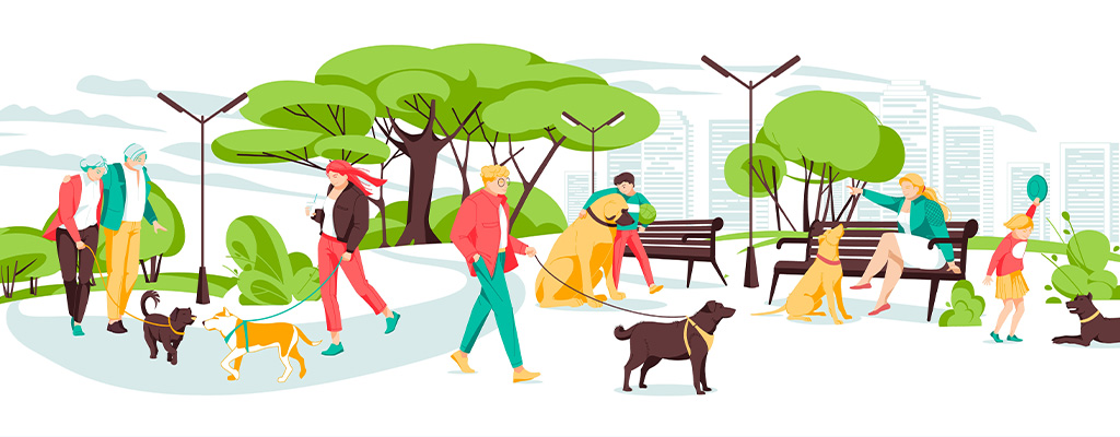 How Physical Therapy Can Help with Rotator Cuff Injuries